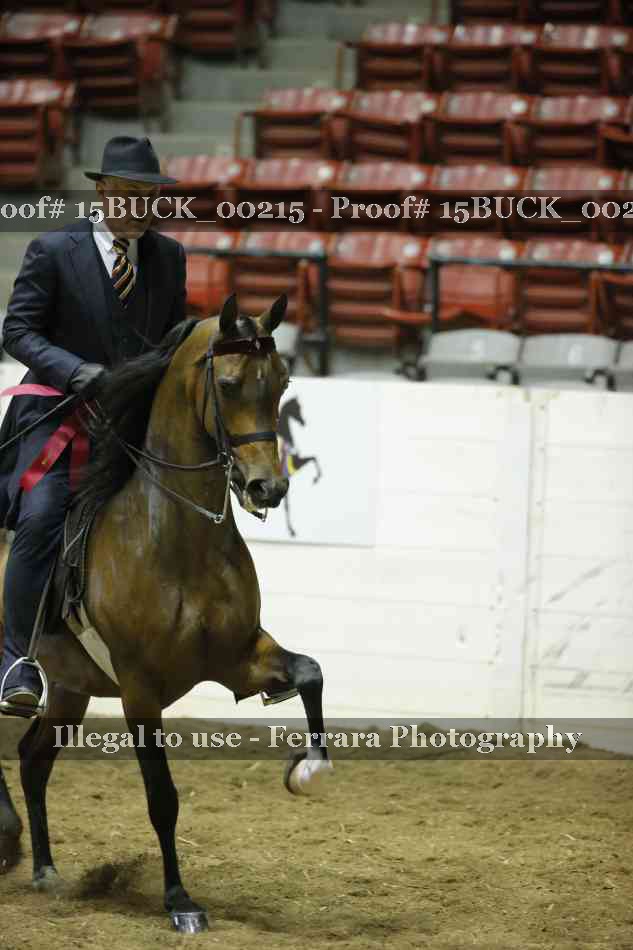 Proof 15BUCK_00215