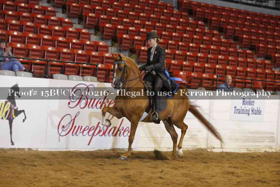 Proof 15BUCK_00216