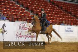 15BUCK_00216 proof