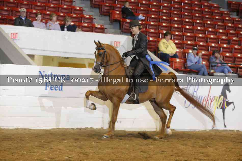 Proof 15BUCK_00217