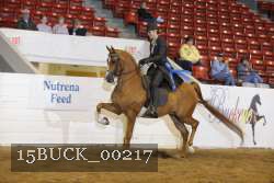 15BUCK_00217 proof