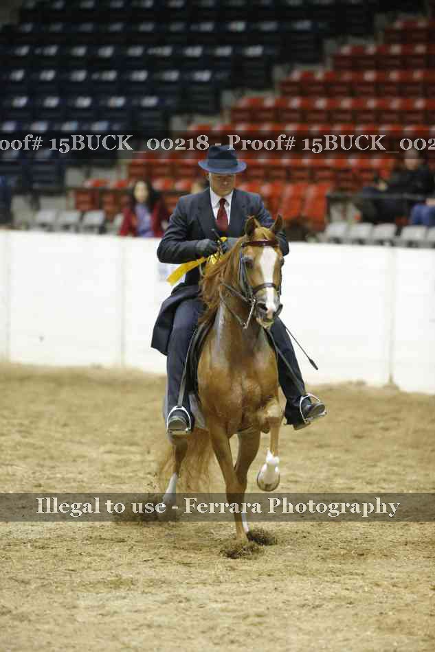 Proof 15BUCK_00218