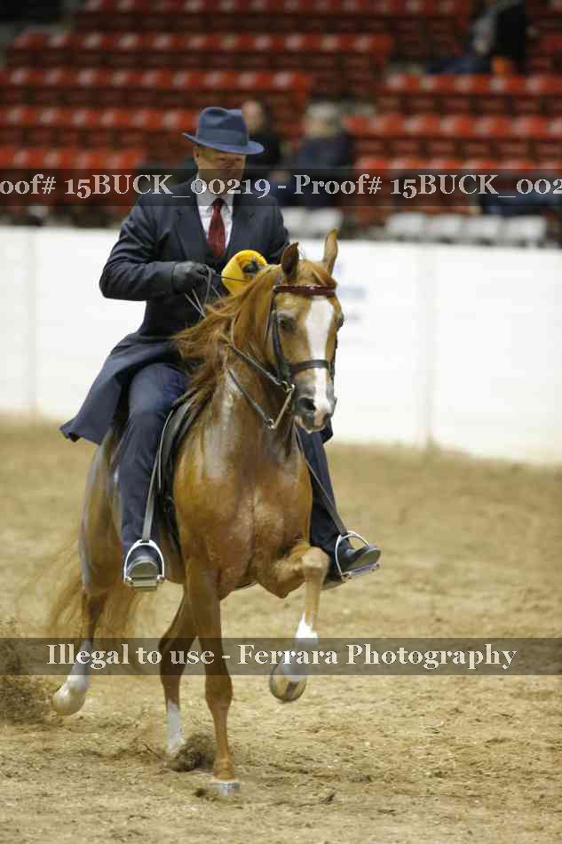 Proof 15BUCK_00219