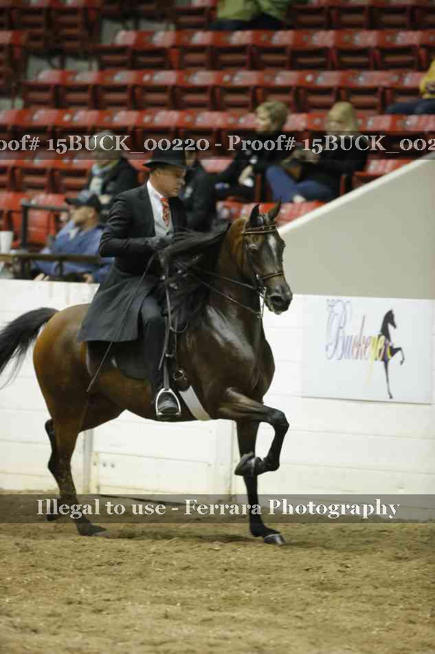 Proof 15BUCK_00220
