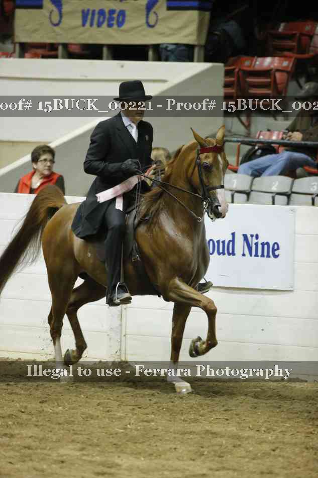 Proof 15BUCK_00221
