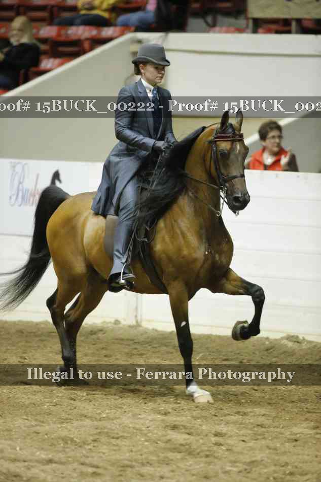 Proof 15BUCK_00222