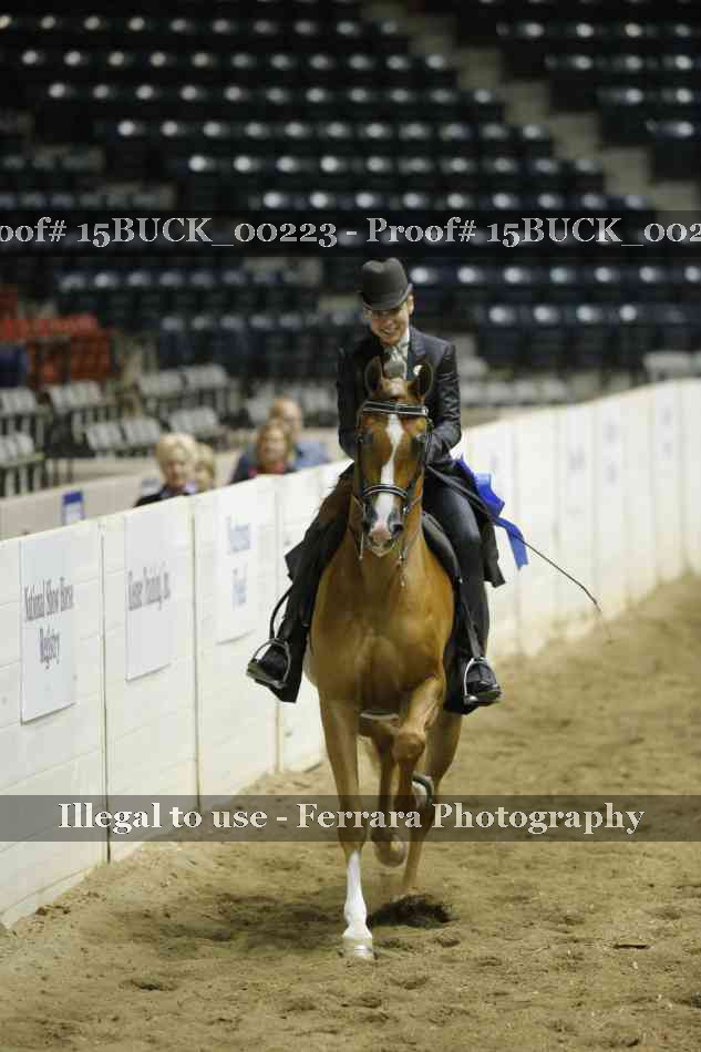 Proof 15BUCK_00223