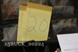 15BUCK_00224 proof