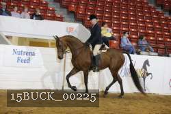 15BUCK_00225 proof