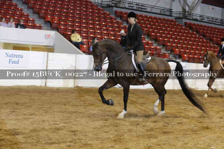 Proof 15BUCK_00227