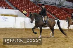 15BUCK_00227 proof