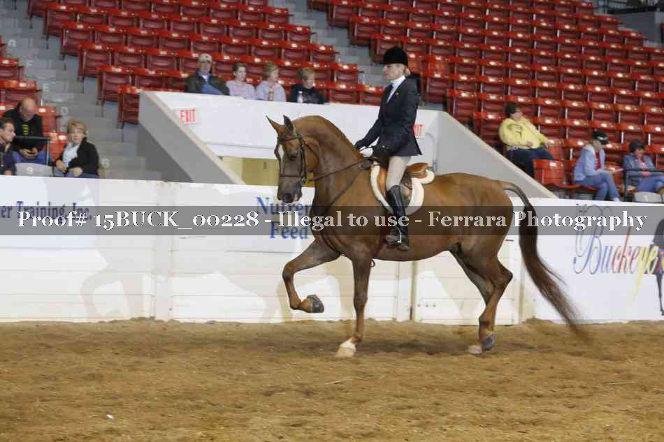 Proof 15BUCK_00228