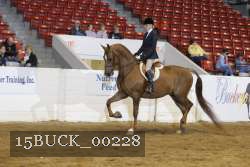 15BUCK_00228 proof