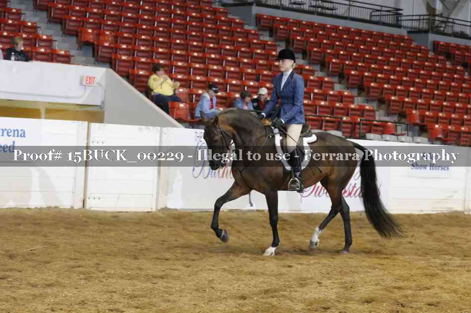 Proof 15BUCK_00229