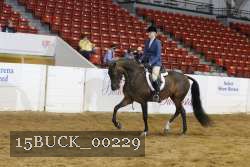 15BUCK_00229 proof