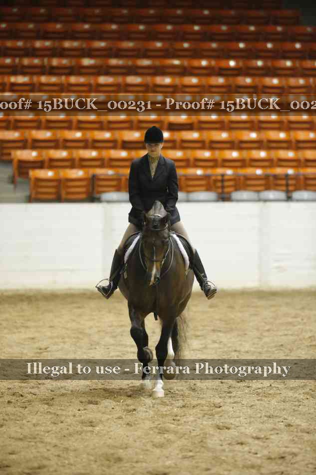 Proof 15BUCK_00231