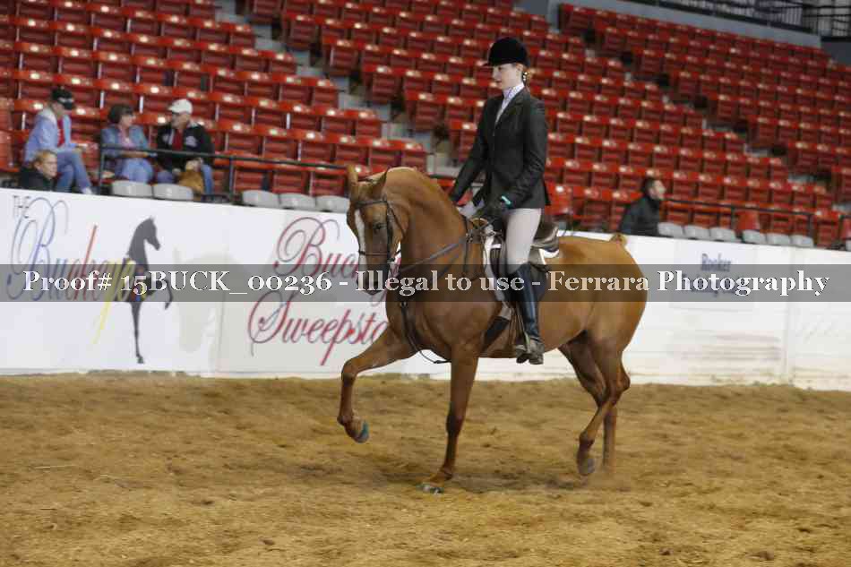 Proof 15BUCK_00236