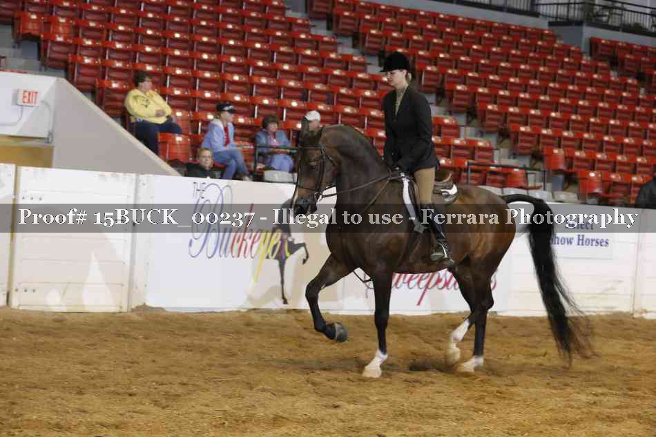 Proof 15BUCK_00237