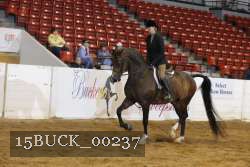 15BUCK_00237 proof