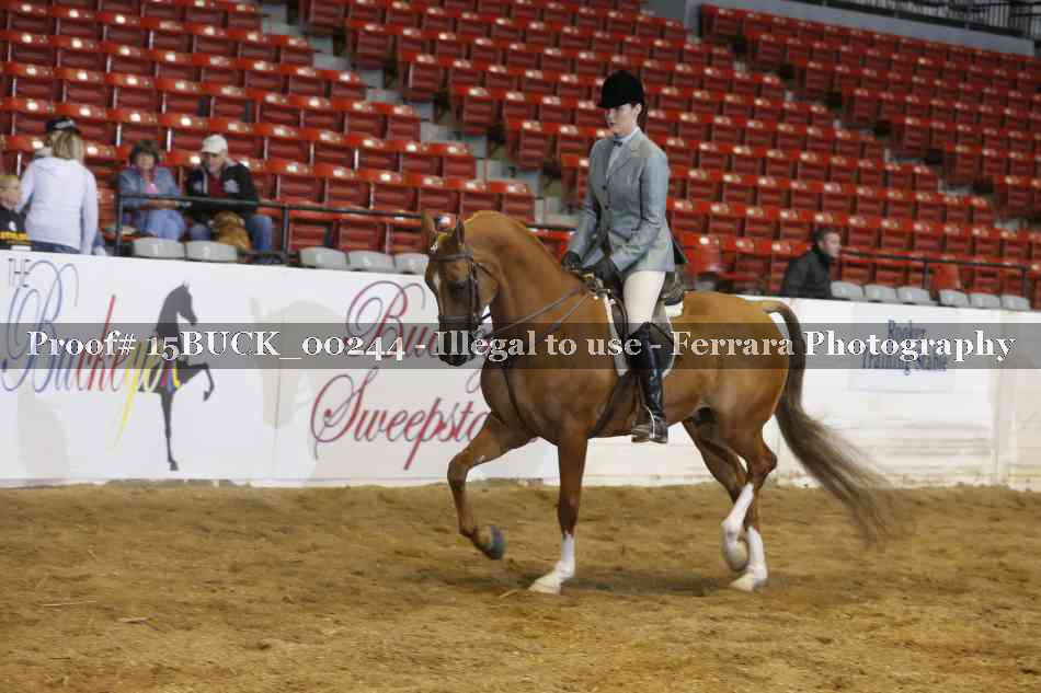 Proof 15BUCK_00244