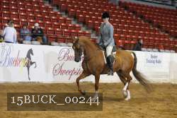 15BUCK_00244 proof
