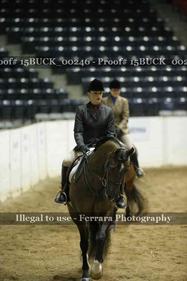 Proof 15BUCK_00246