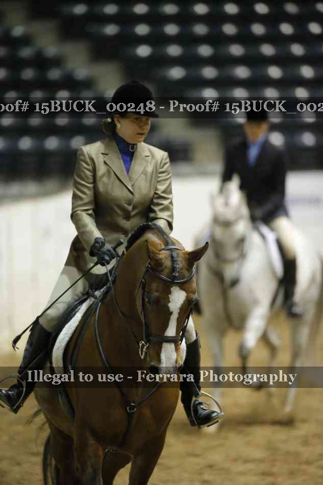 Proof 15BUCK_00248