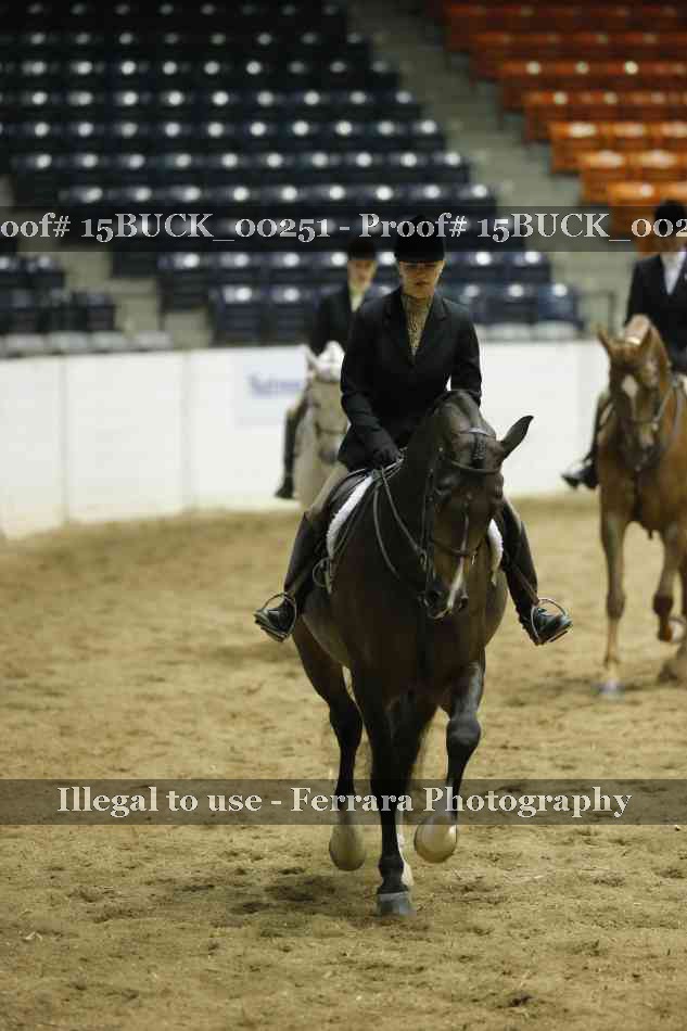 Proof 15BUCK_00251
