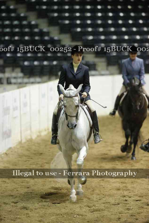 Proof 15BUCK_00252