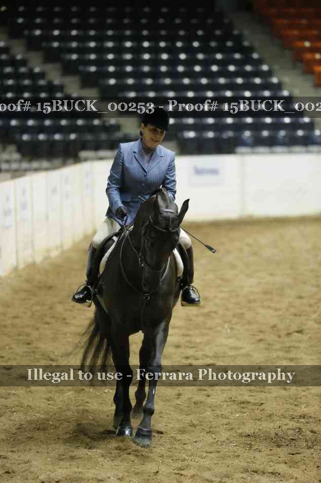 Proof 15BUCK_00253