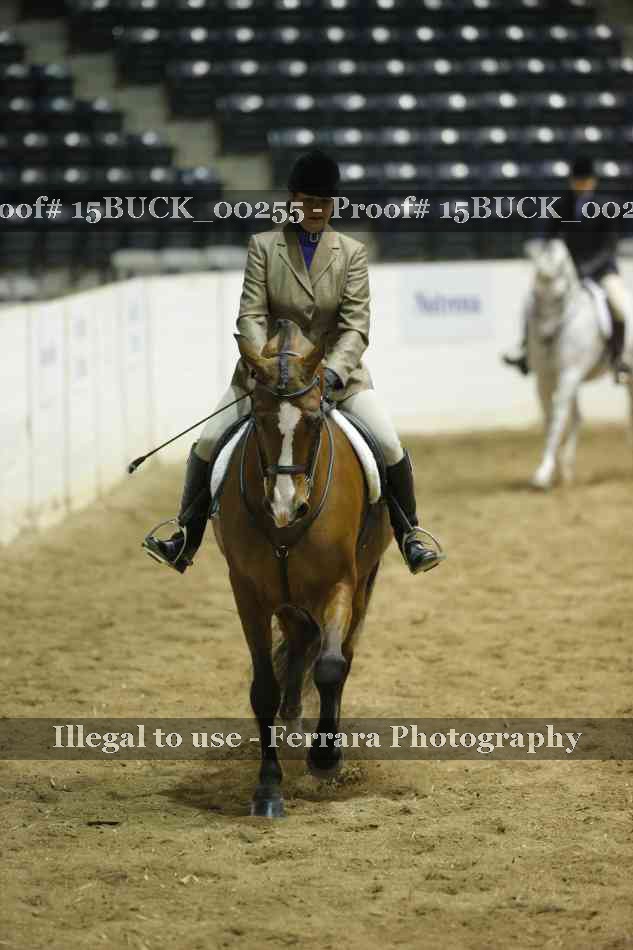 Proof 15BUCK_00255