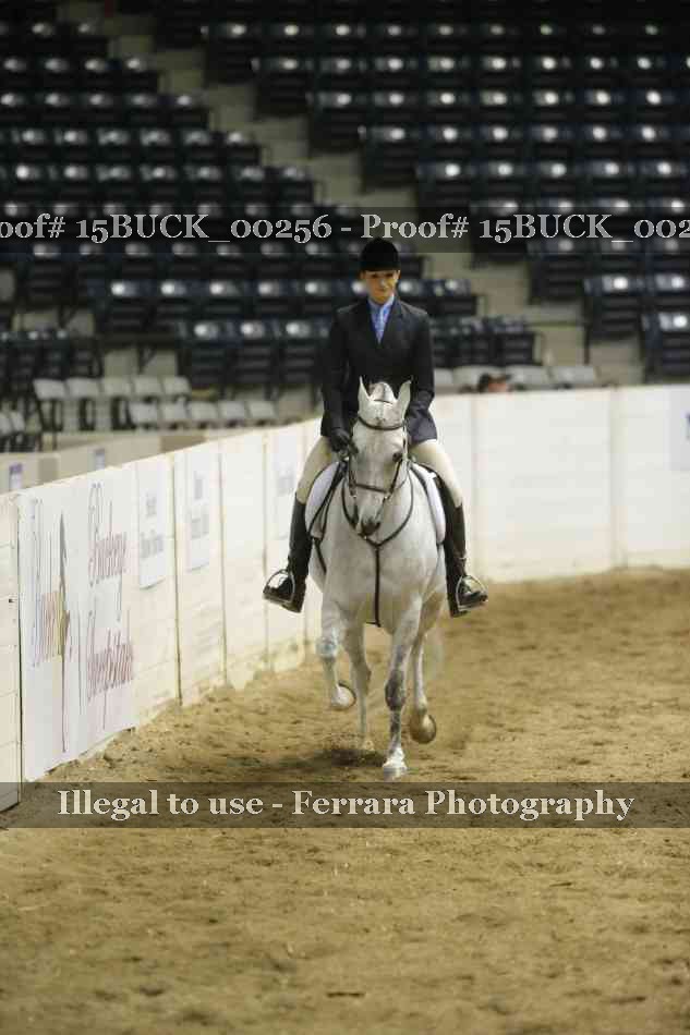 Proof 15BUCK_00256