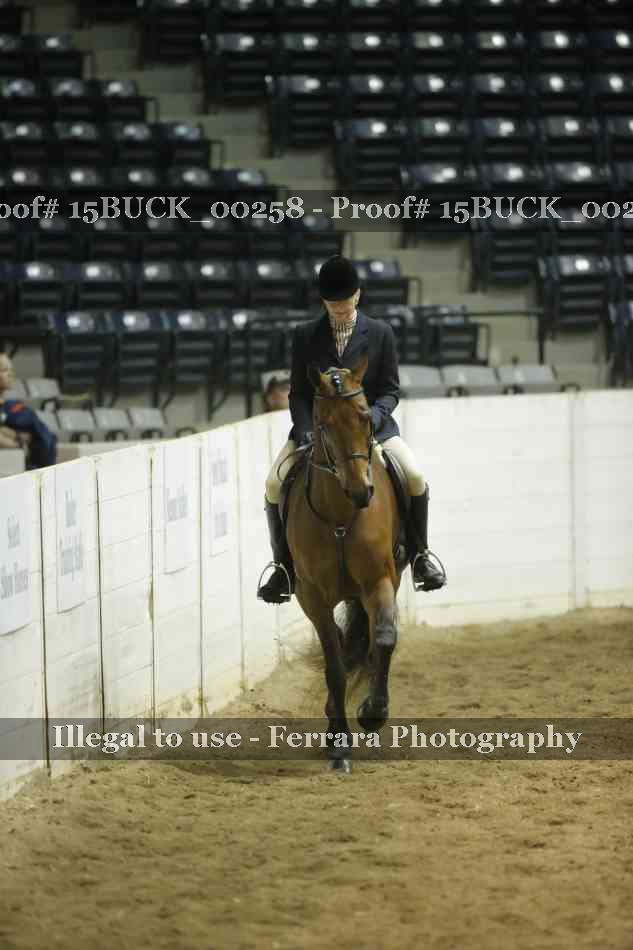 Proof 15BUCK_00258