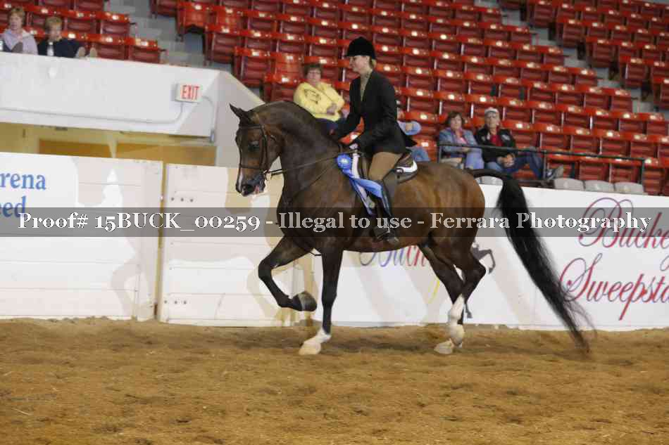 Proof 15BUCK_00259