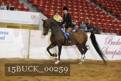 15BUCK_00259 proof