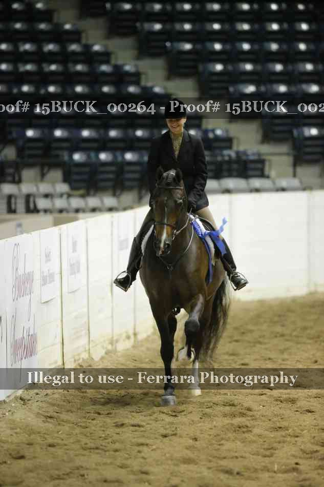 Proof 15BUCK_00264