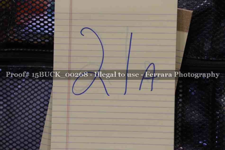 Proof 15BUCK_00268