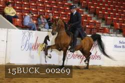15BUCK_00269 proof