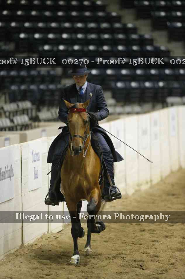 Proof 15BUCK_00270