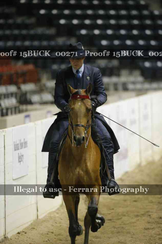 Proof 15BUCK_00271
