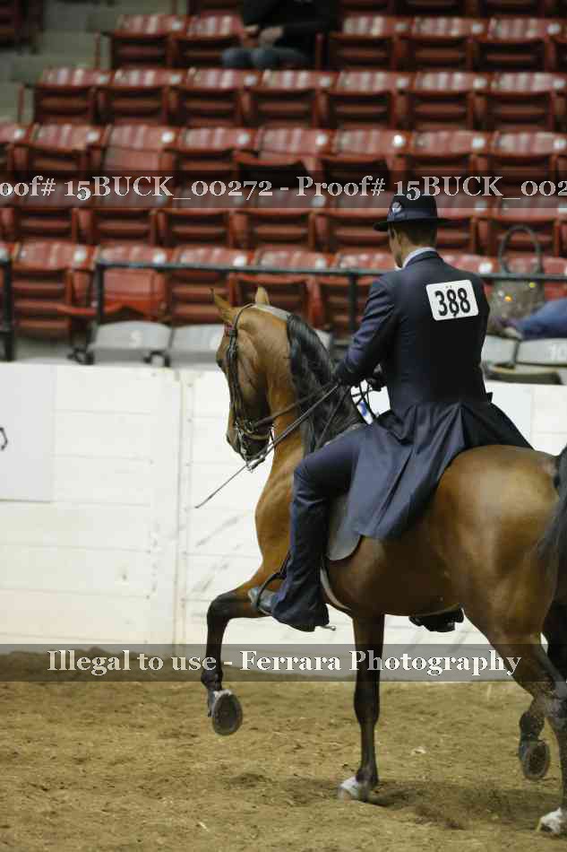 Proof 15BUCK_00272