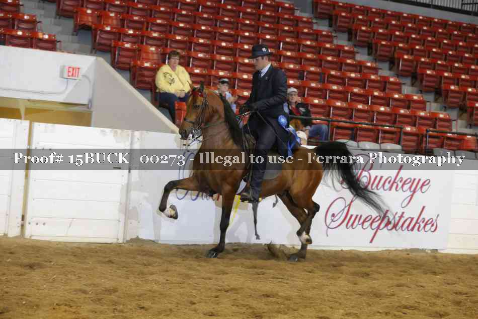 Proof 15BUCK_00273