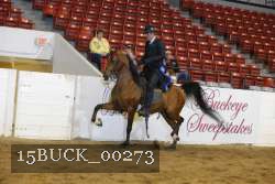 15BUCK_00273 proof
