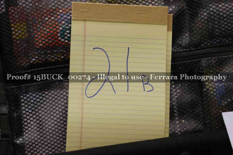 Proof 15BUCK_00274