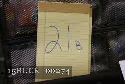 15BUCK_00274 proof