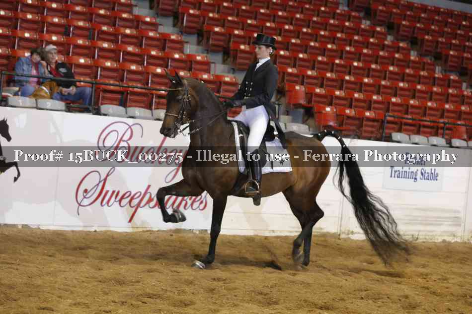 Proof 15BUCK_00275