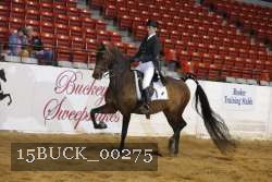15BUCK_00275 proof