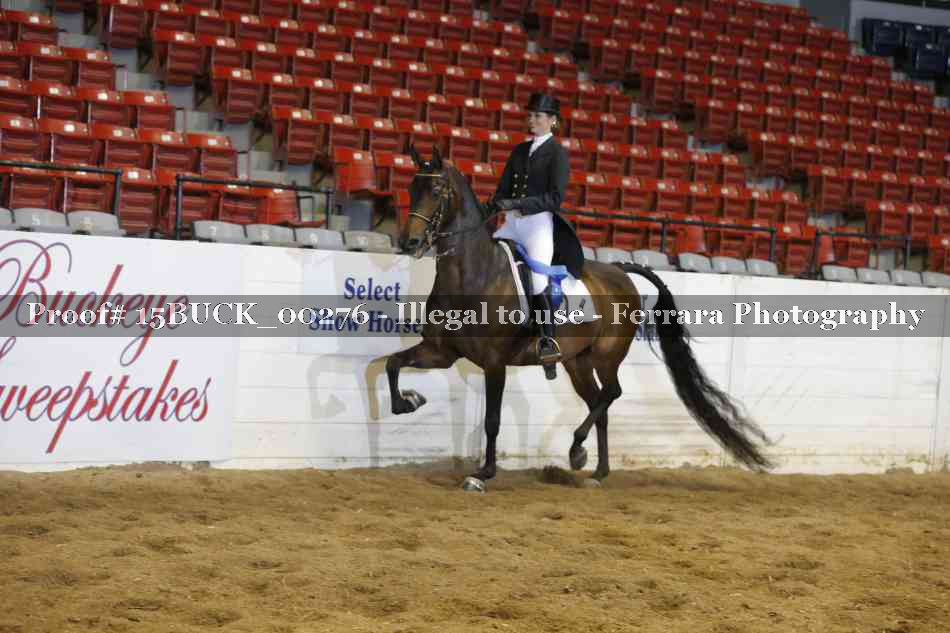 Proof 15BUCK_00276