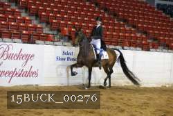 15BUCK_00276 proof