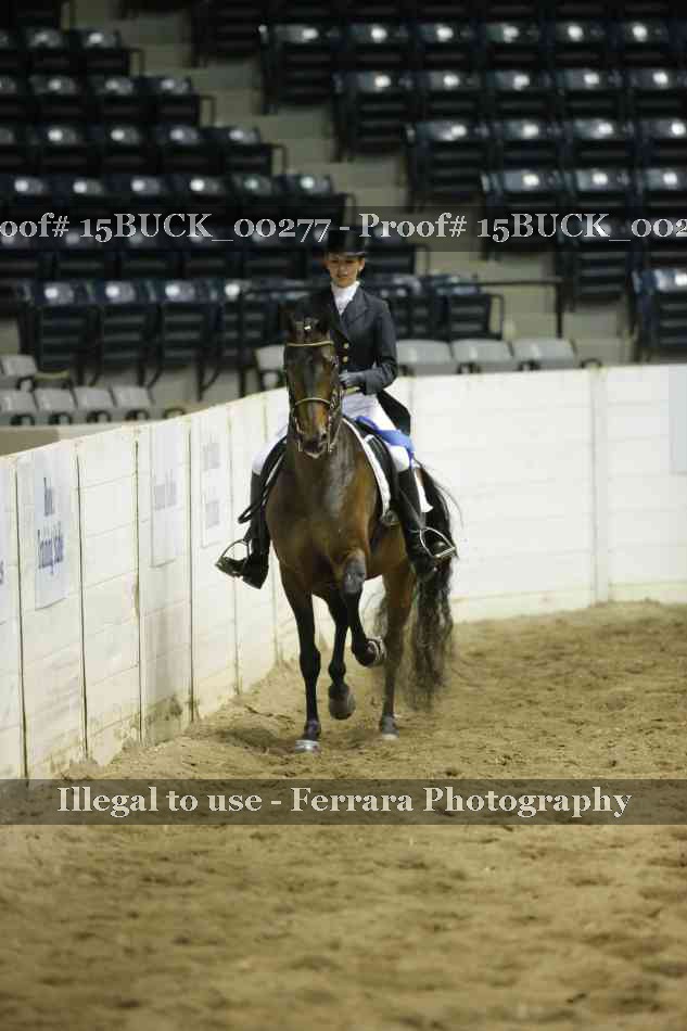 Proof 15BUCK_00277